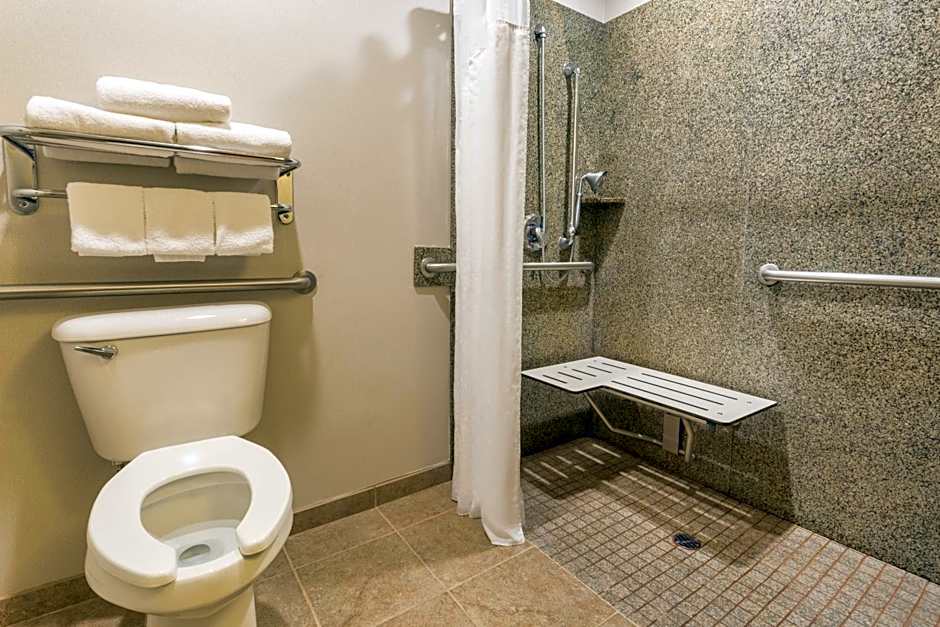 Holiday Inn Express Hotel & Suites Manteca By IHG