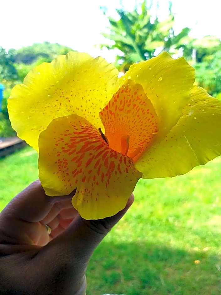 Batera House Noronha