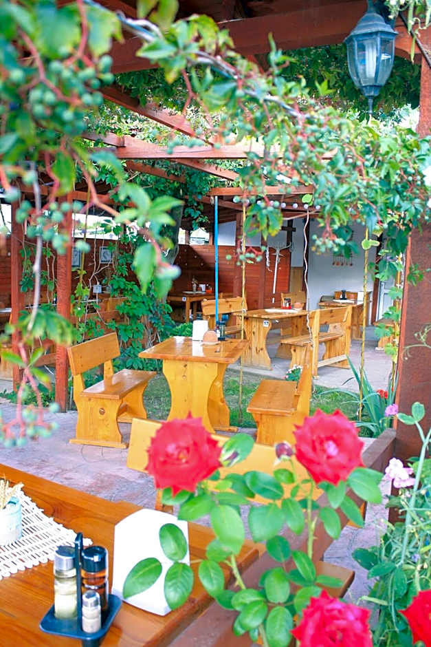 Alba Family Club Hotel