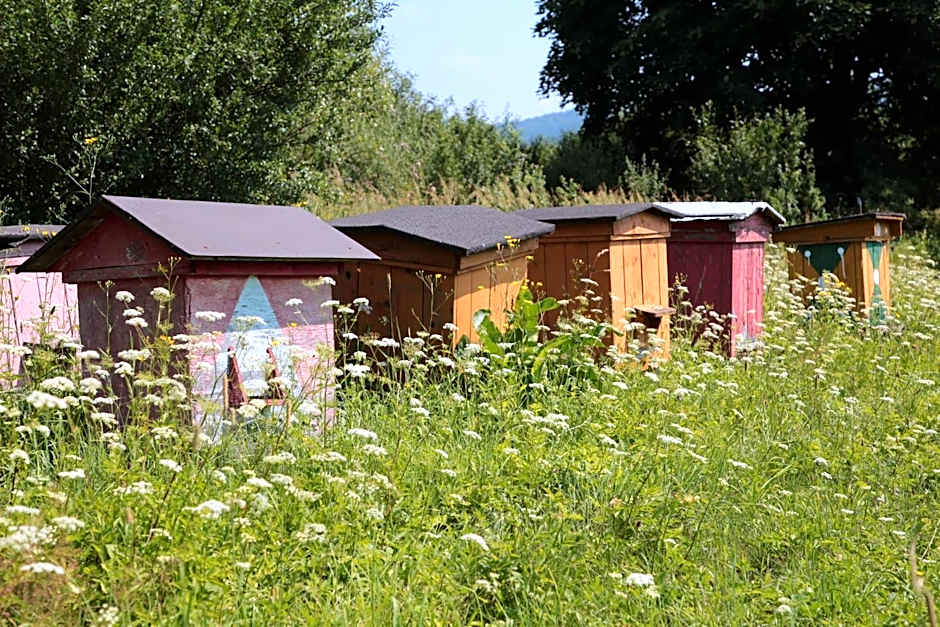 Domki w Smolniku z możliwością apiterapii