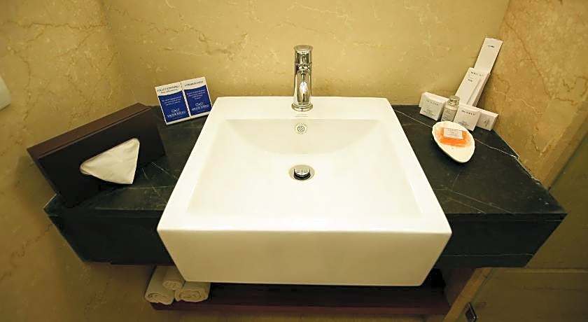 The Muse Sarovar Portico Nehru Place Delhi