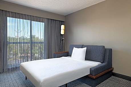 Room, 1 King Bed with Sofa bed (1 King Bed and 1 Double Sofa Bed)