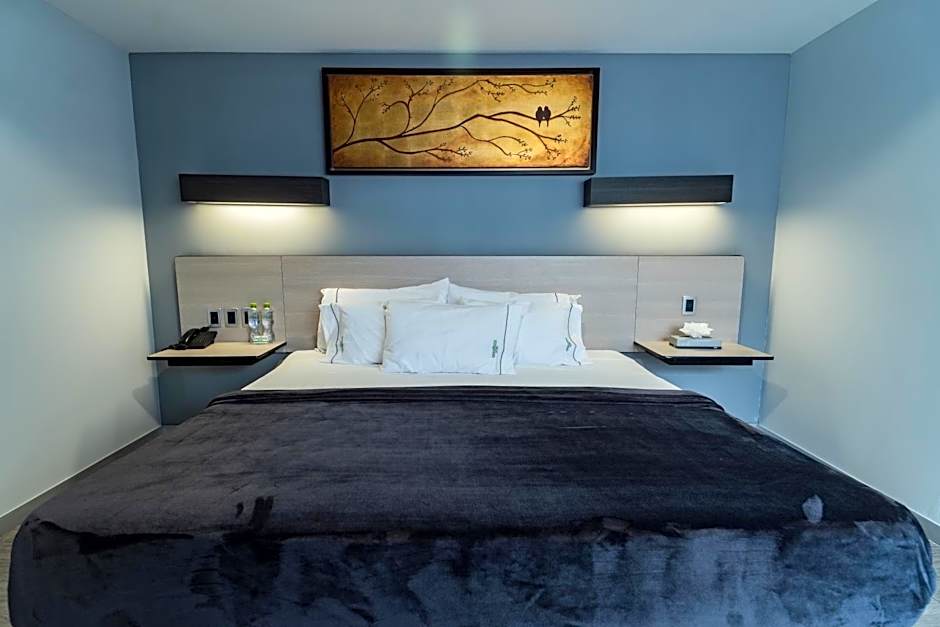 HOTEL LEMON GREEN -Zona Expo Frente al Centro de Convenciones