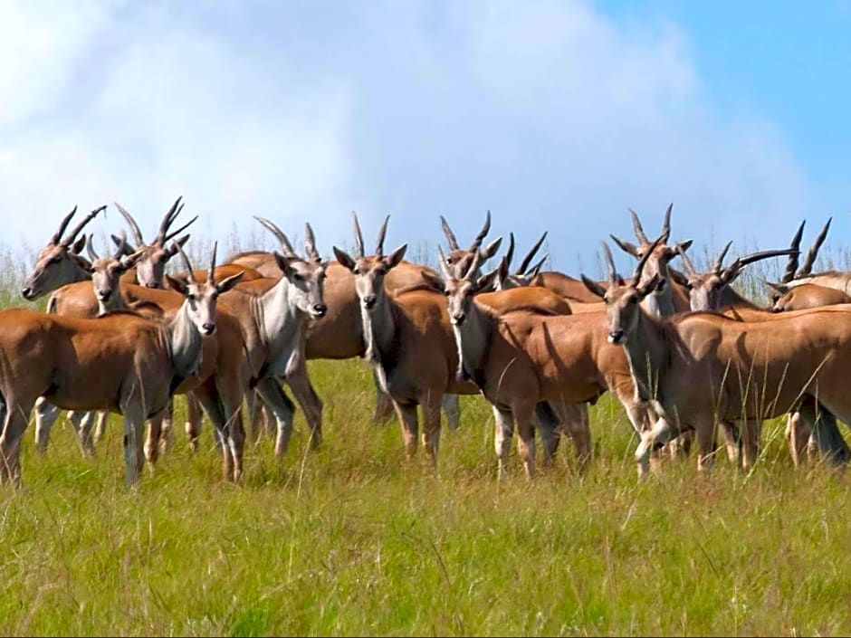 Zulu Waters Game Reserve