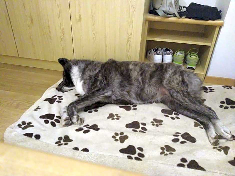 Alpine Touring Hotel-petfriendly