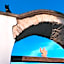 Relais Masseria della Colomba - Agriturismo