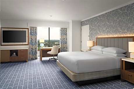 Premium Junior King Suite