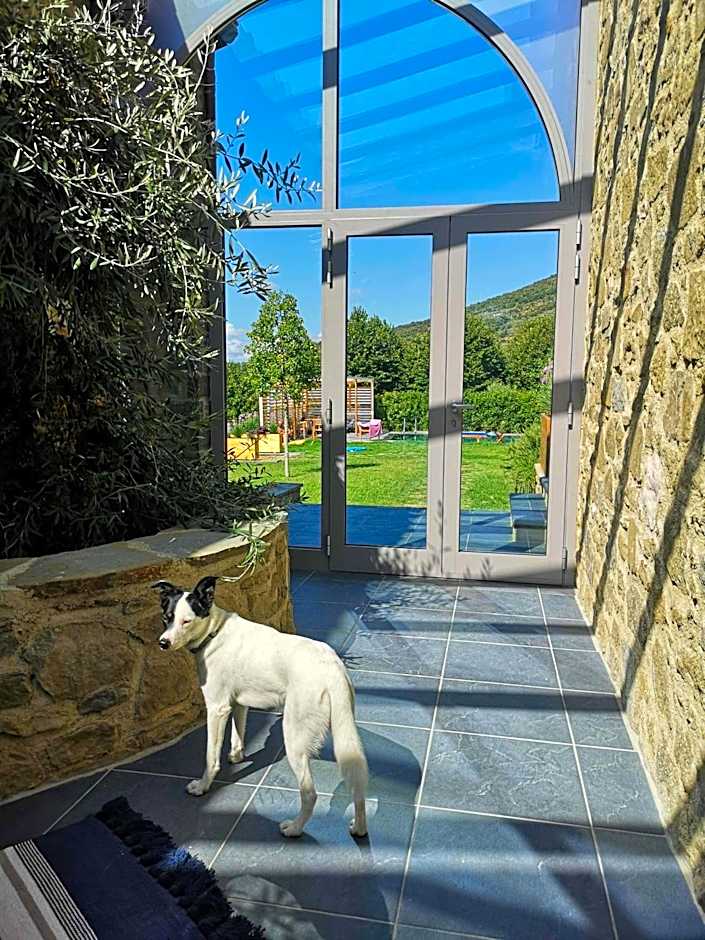 Alba Morus Bed & Breakfast, sentiti a casa nel cuore della Toscana