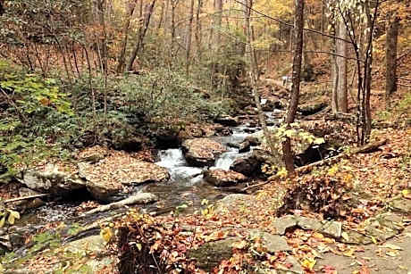 Nacoochee Valley Rentals