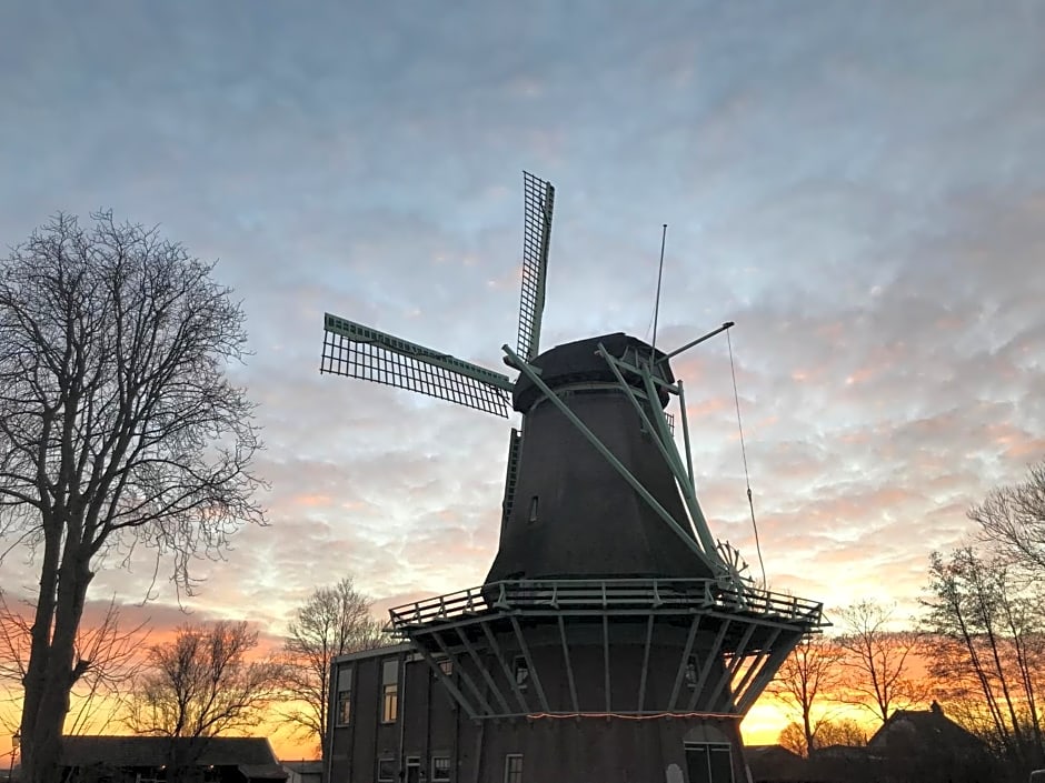 Nabij de Molen