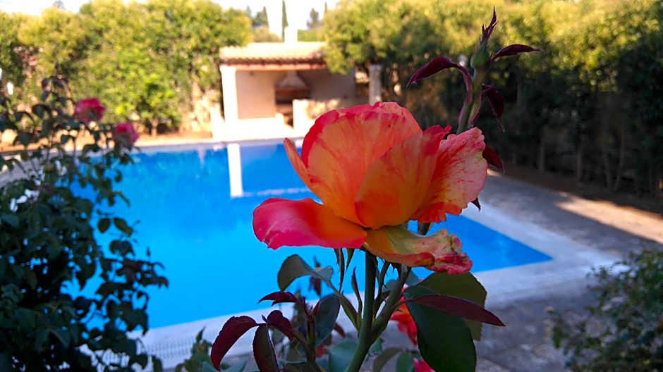 CHA Nanakas Village Inn