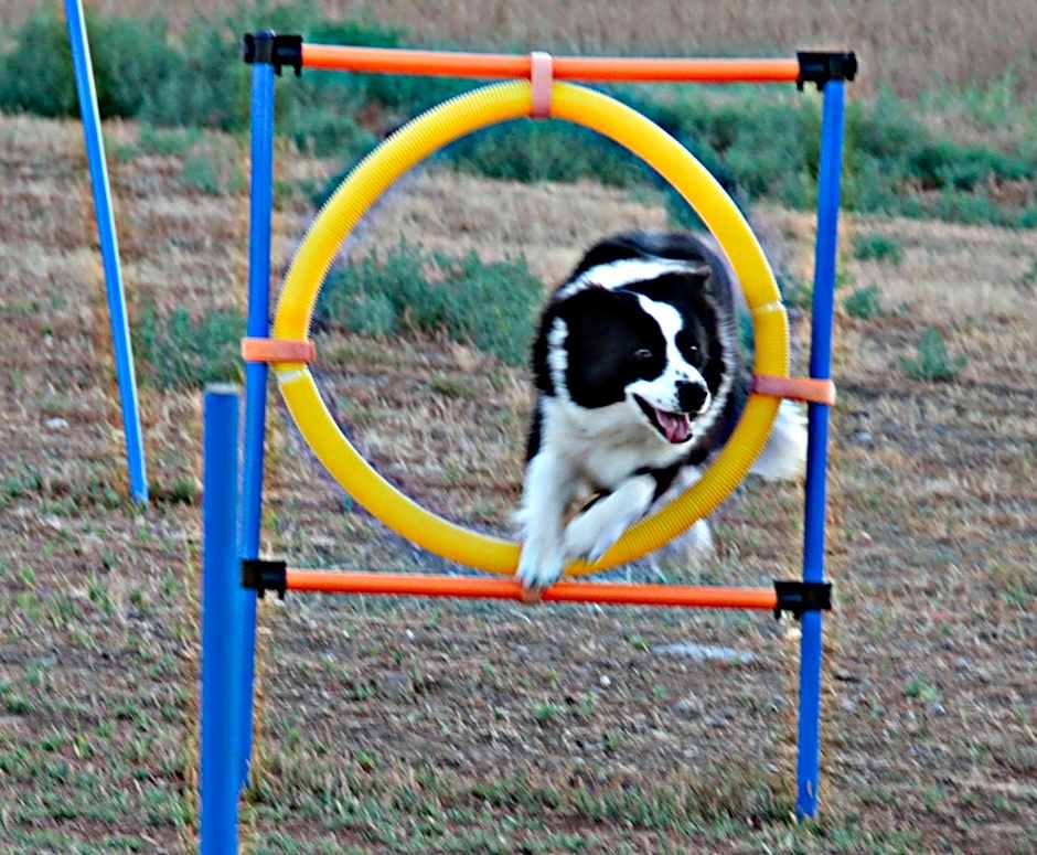 Residence Talamone Il Poderino