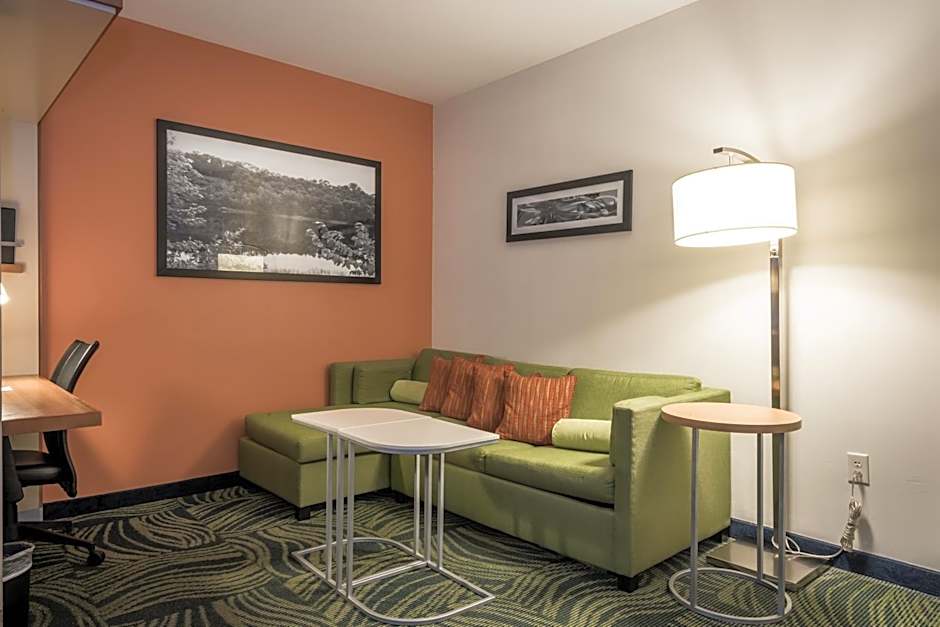 SpringHill Suites by Marriott Statesboro University Area