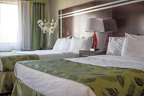 Standard Queen Room with Two Queen Beds