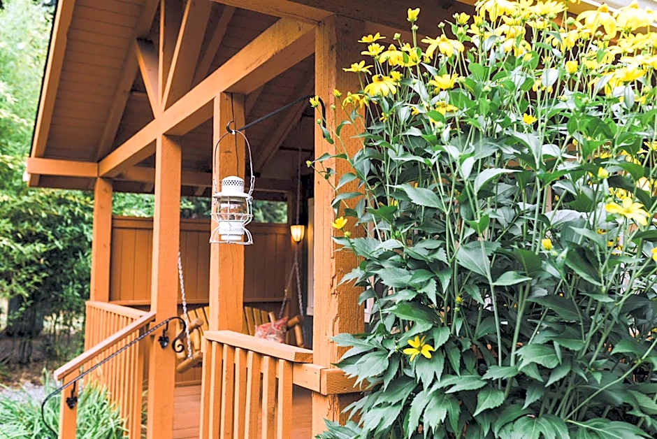 Carson Ridge Luxury Cabins