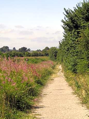 Double or Twin Room with Garden View