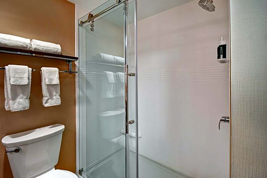 TownePlace Suites by Marriott Las Vegas Airport South