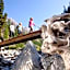 Schloss Hotel & Spa Pontresina