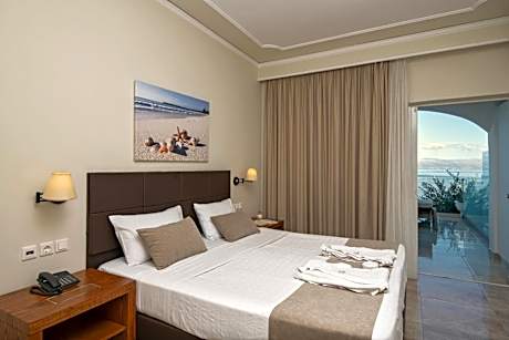 Superior Double or Twin Room with Terrace