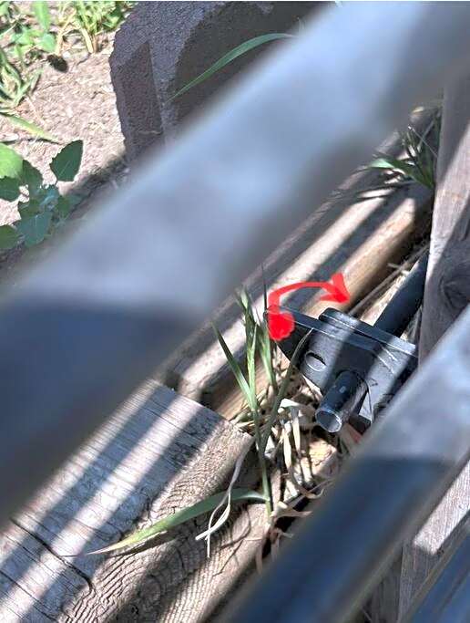 Forth Street 2Bedroom Suite