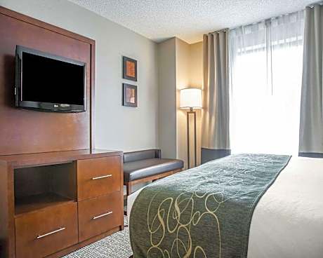 1 King Bed, Suite, Nonsmoking