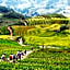 Anise Sapa Hotel