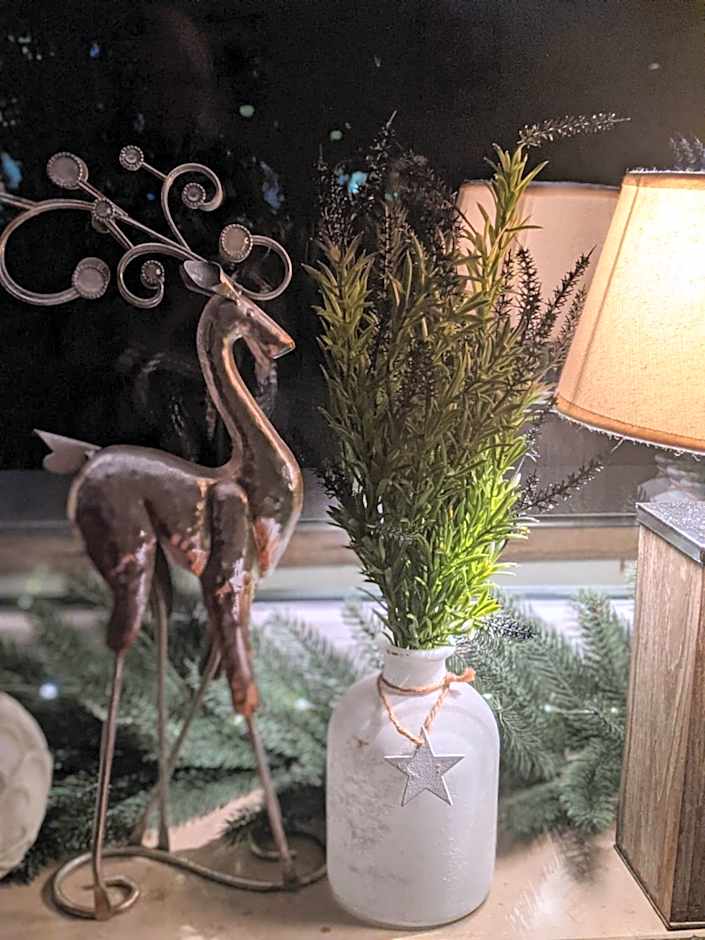 Rheinauer Hof - bed & breakfast