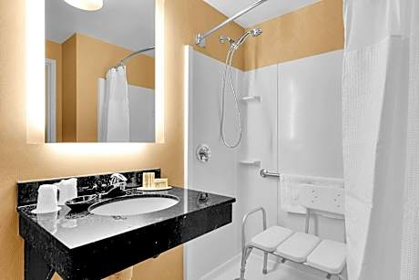 King Suite with Bathtub and Sofa Bed - Mobility Access/Hearing Accessible