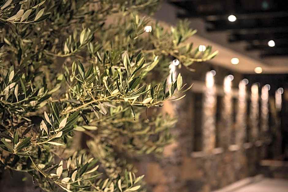 Petousis Hotel & Suites