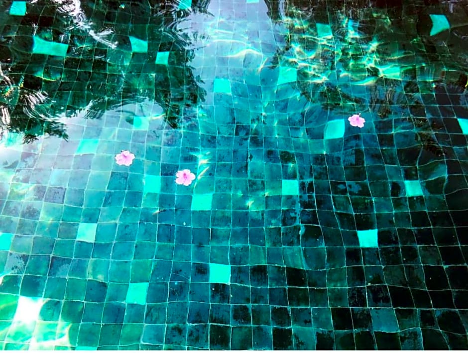 Sel d Ailleurs, Ouirgan - adults only