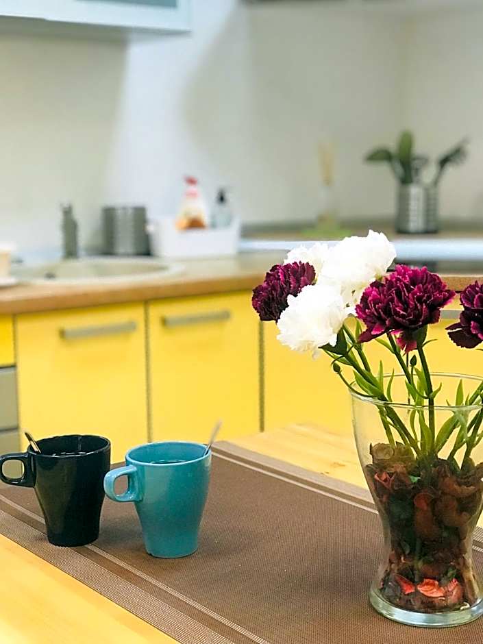 Laisves Avenue Hostel "Easy Kaunas"