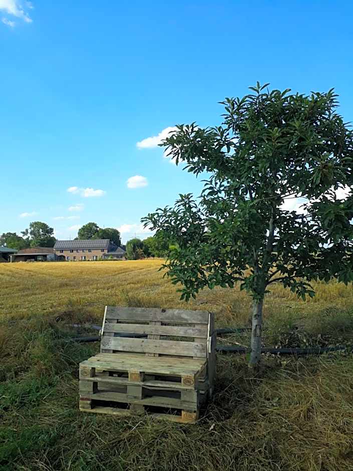Bingers kleine Scheune