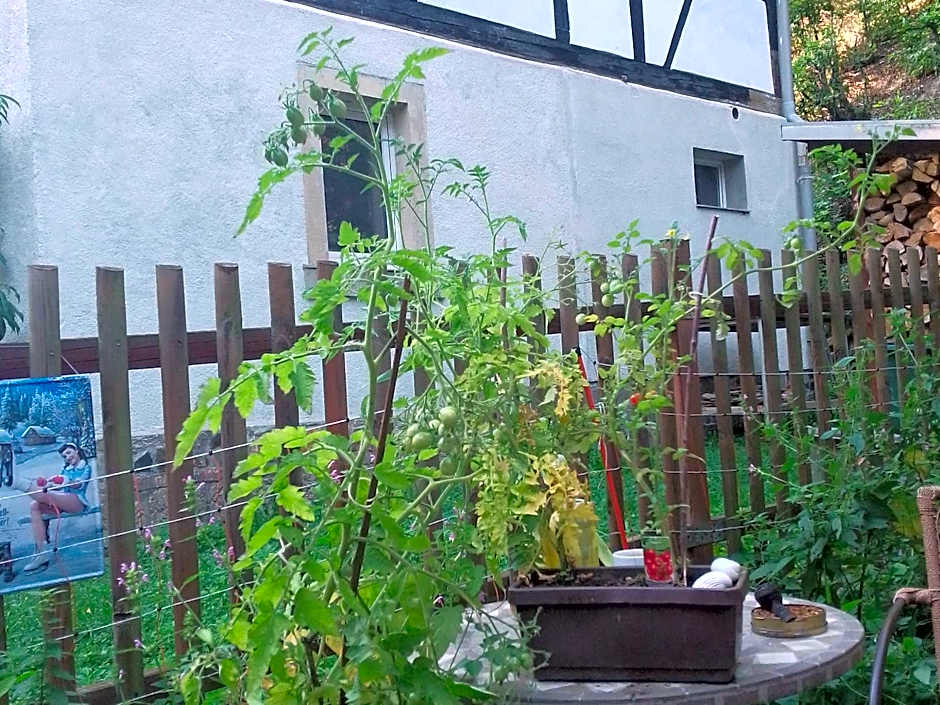 RUHIG UND SPARTANISCH WOHNEN in Lichtenwalde 1