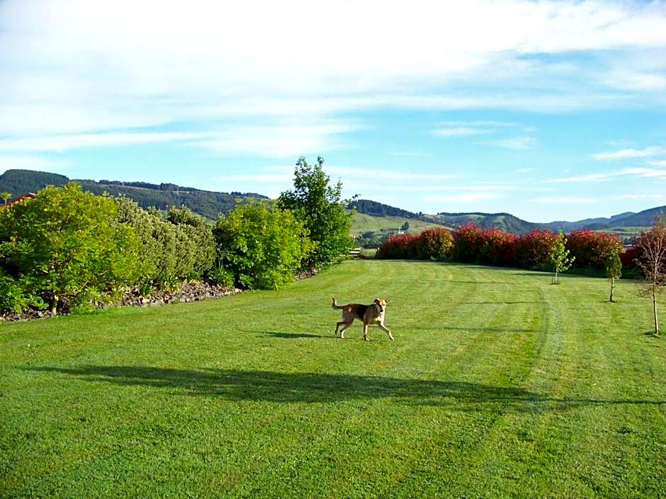 Longbourne Lodge Motel Mosgiel