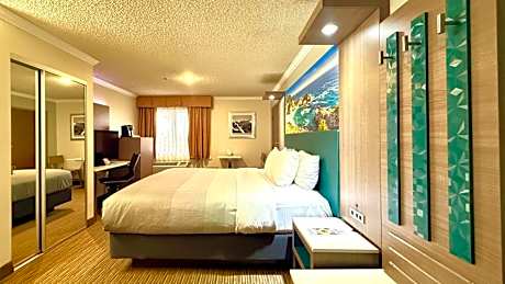 Standard Room, 1 King Bed, Accessible Tub, Non Smoking
