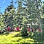 Forest & Lake PEI Cottages