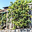 Residence Borgo Dei Limoni - Appartamenti con Garage