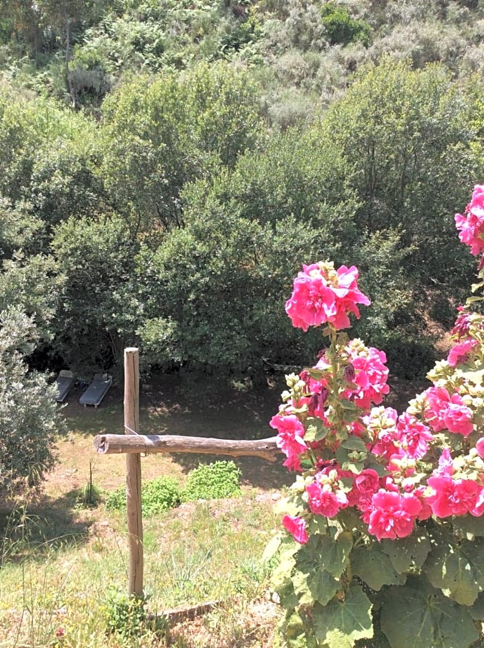 Guest Room Agro-turismo Quinta da Fonte Bed&Breakfast