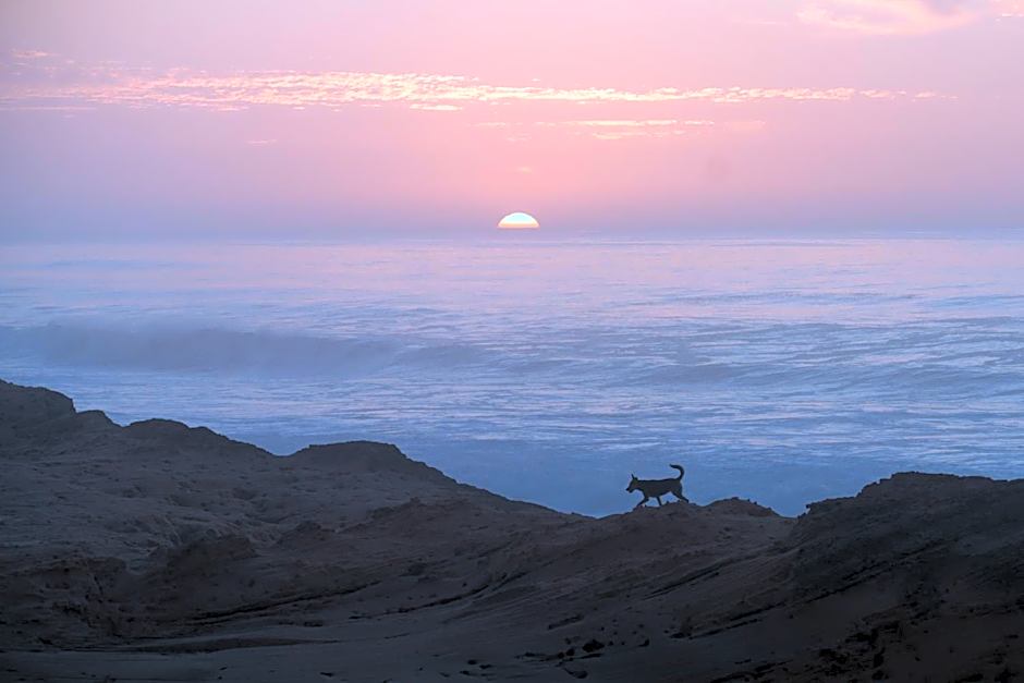 AJARIF ⴰⵊⴰⵔⵉⴼ - Fisherman cabin