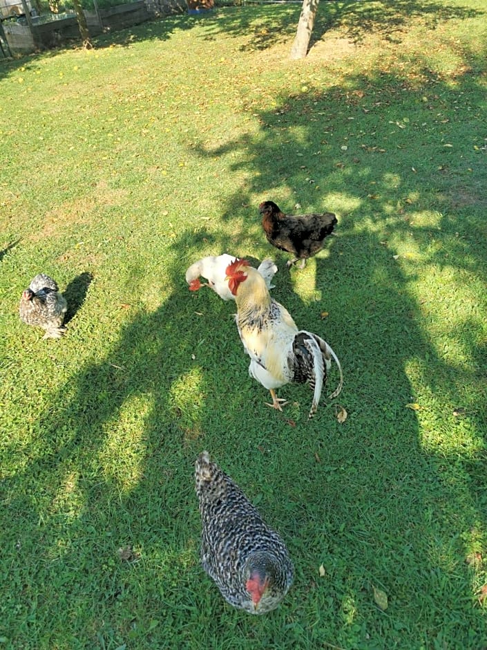 Bienvenue chez moi à Concevreux