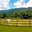 Graves Mountain Farm & Lodges