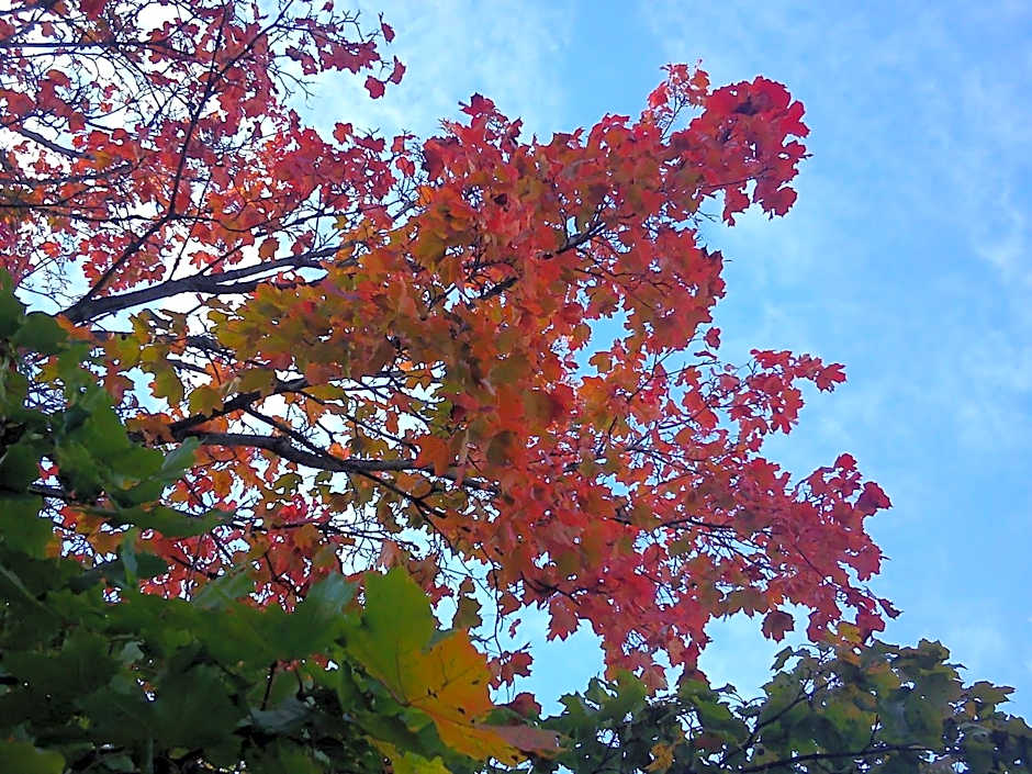 Hvilan V-hem Norrtälje AB