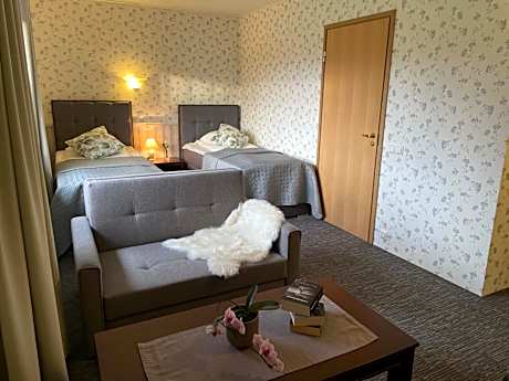 Deluxe Twin Room with Sauna