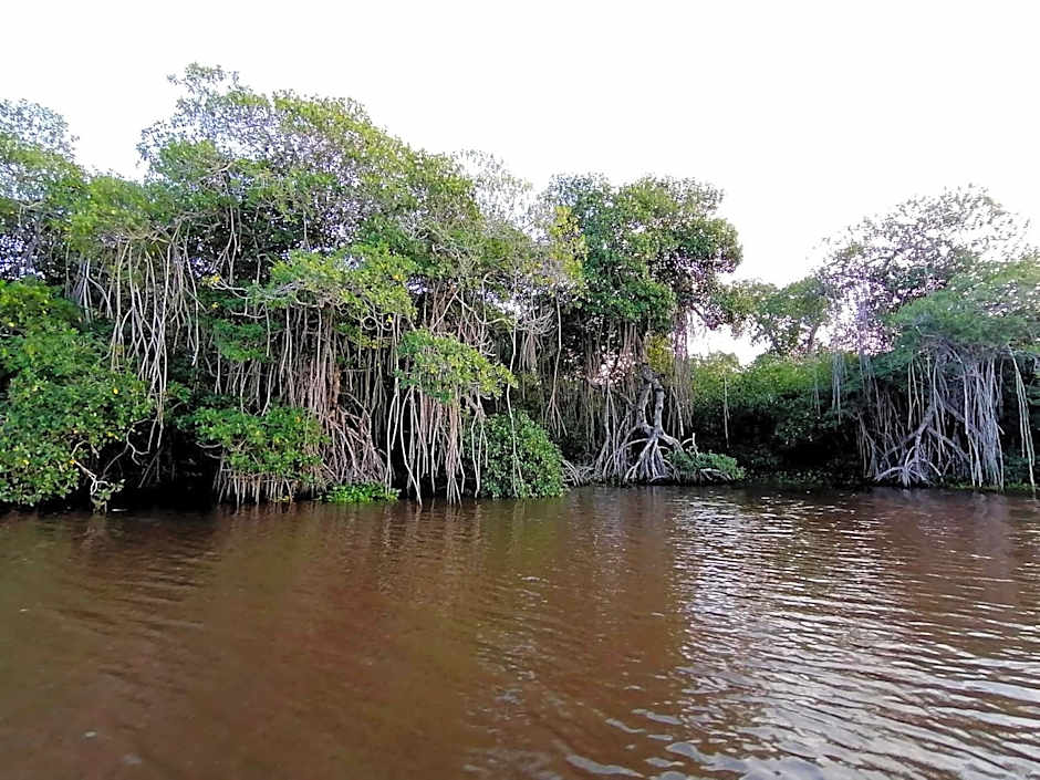 Don Luis Hostal - Sucursal Galeana - Tecolutla