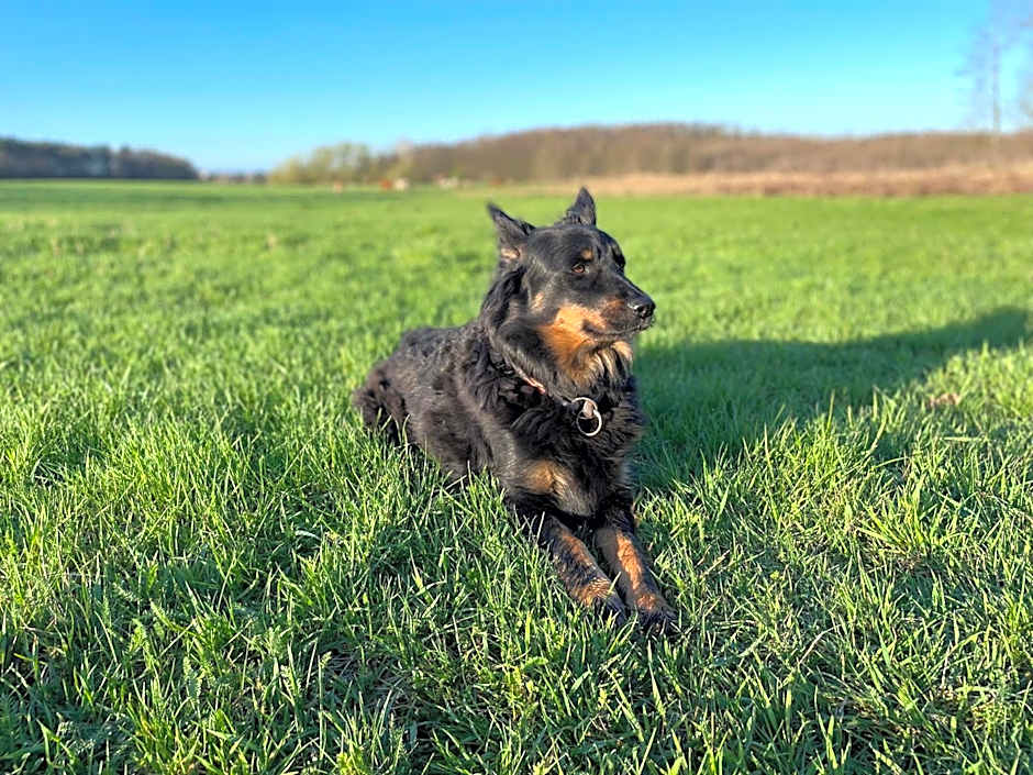 Eichenhof Hotel Garni