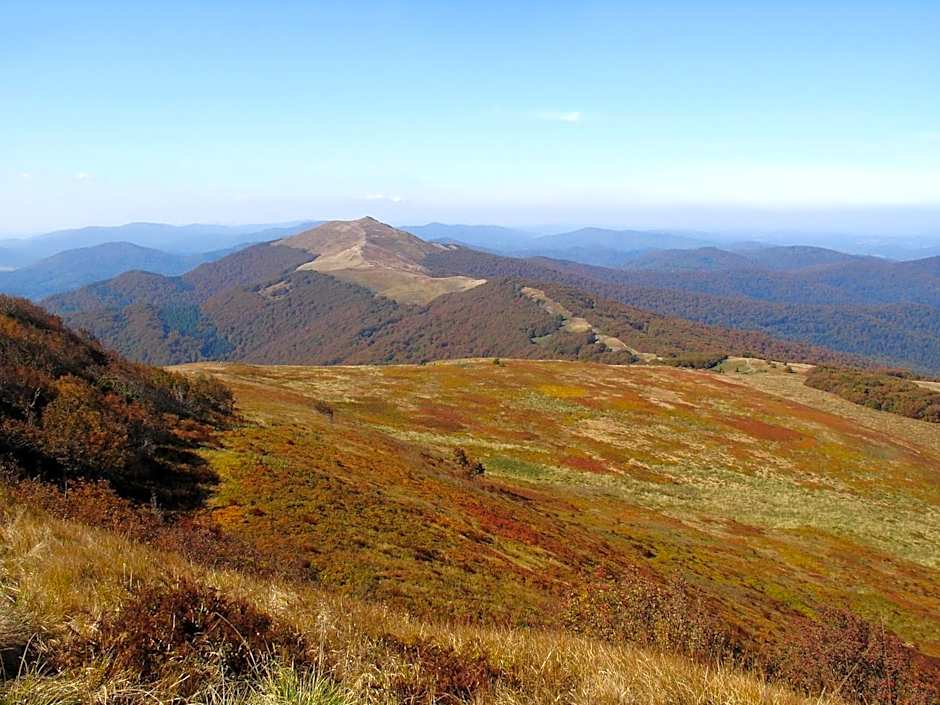 Domek Skowronek z basenem