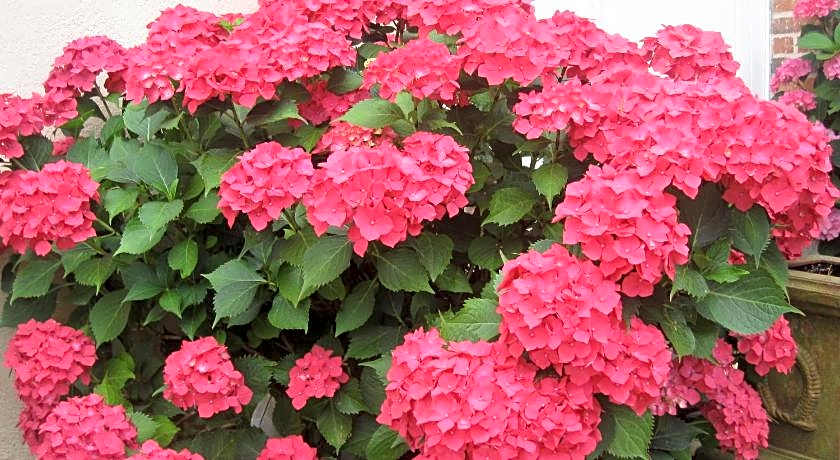 Relais de Chasse la Chaignaie