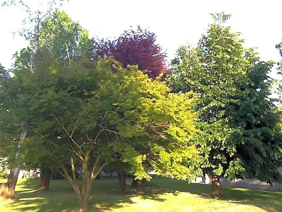 B&B Cascina Baraggione