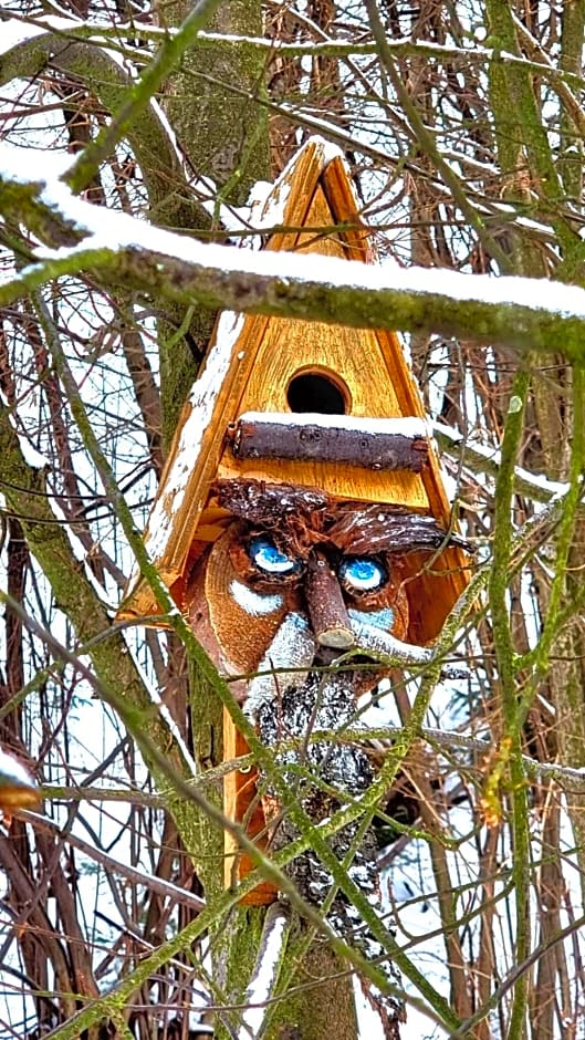 Rezydencja Barrettski