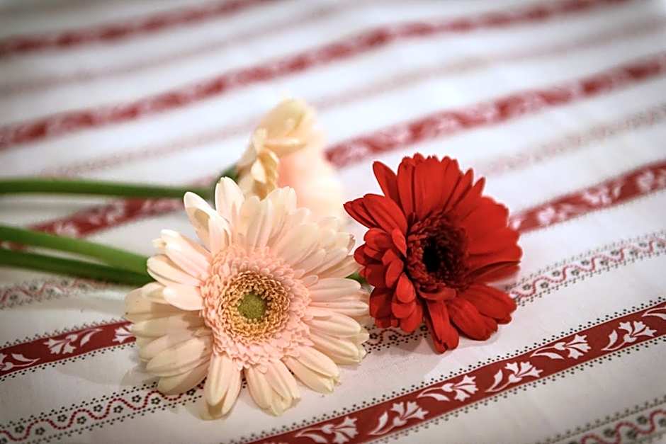 Ostello del Castello Tirano